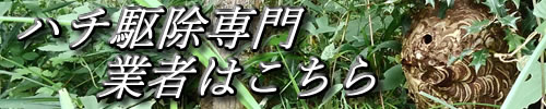 ハチ駆除専門業者はこちら