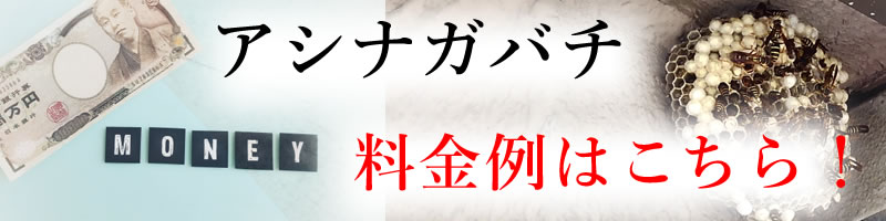 アシナガバチ料金例はこちら