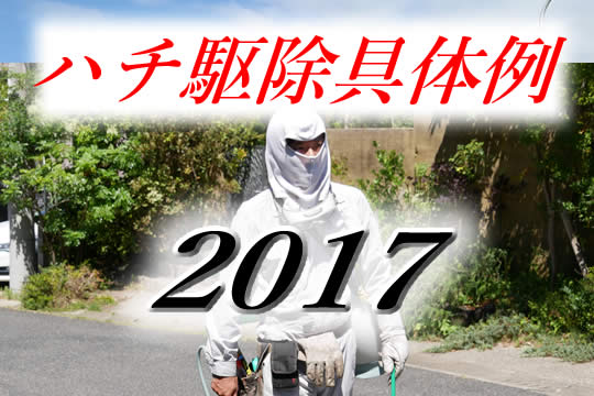駆除具体例2017