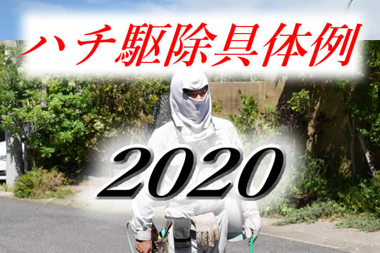 駆除具体例2020
