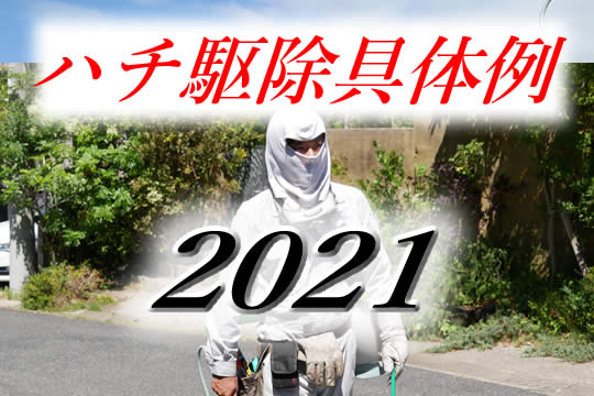 駆除具体例2021
