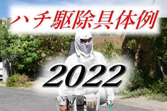 駆除具体例2022