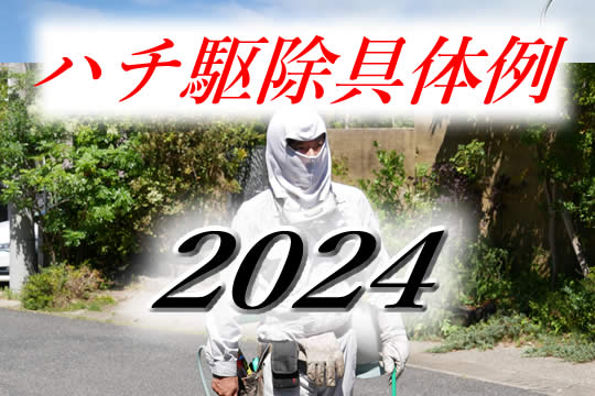 駆除具体例2024