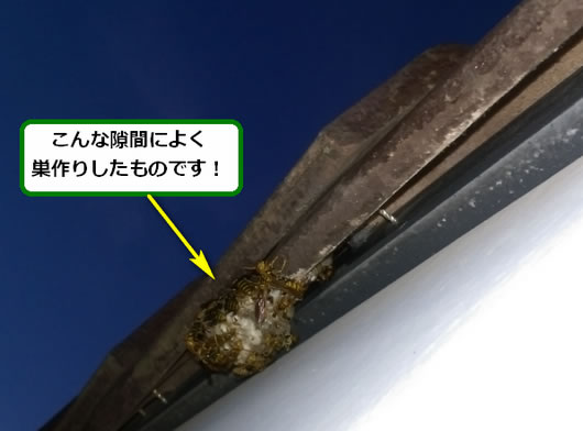 アシナガバチの巣駆除屋根瓦