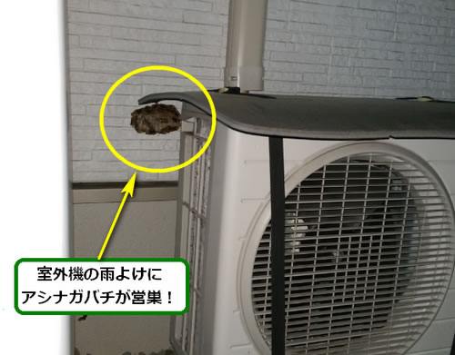 アシナガバチ駆除室外機