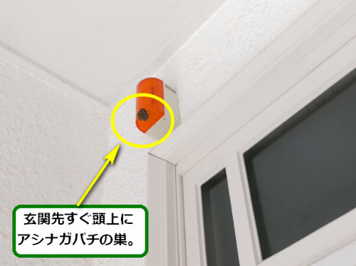 アシナガバチ駆除パトライト