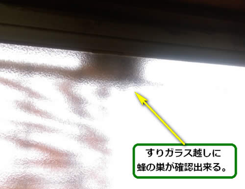 アシナガバチ駆除窓サッシ