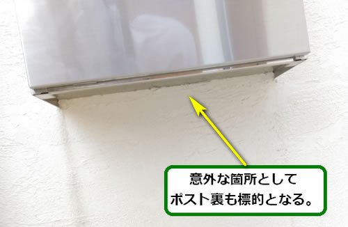 アシナガバチの巣調査ポスト裏