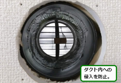 アシナガバチ侵入口閉鎖