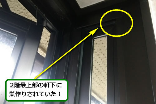 アシナガバチ駆除軒下