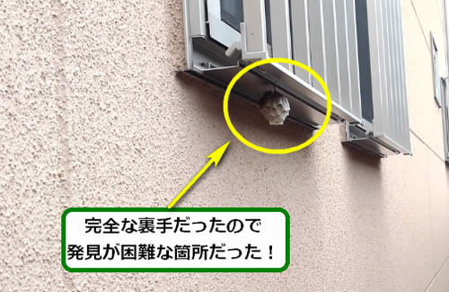 アシナガバチ駆除死角窓サッシ
