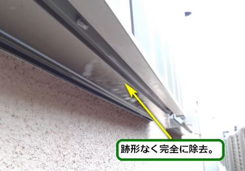 アシナガバチの巣完全除去