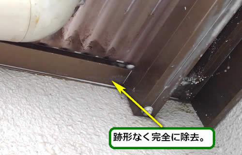 アシナガバチの巣完全除去