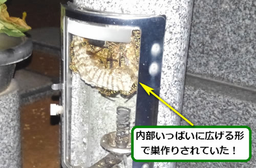 アシナガバチの巣駆除ローソク立て