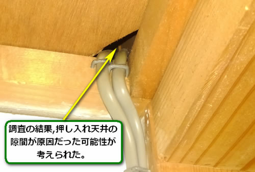 アシナガバチ侵入口室内