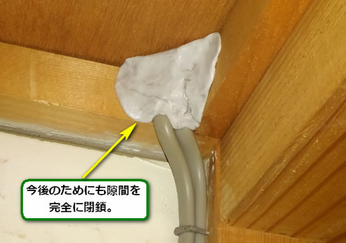 アシナガバチ侵入口閉鎖