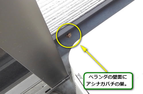 アシナガバチ駆除ベランダ死角