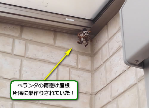 アシナガバチ駆除ベランダ