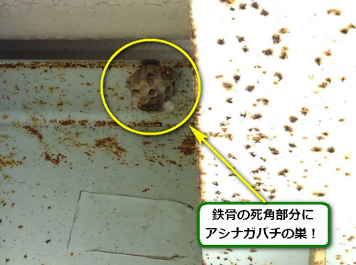 アシナガバチの巣駆除高所鉄骨
