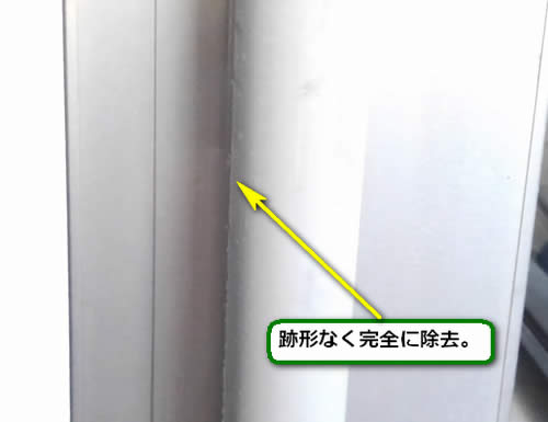 アシナガバチの巣完全除去