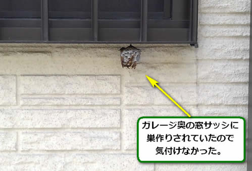 アシナガバチ駆除ガレージ死角