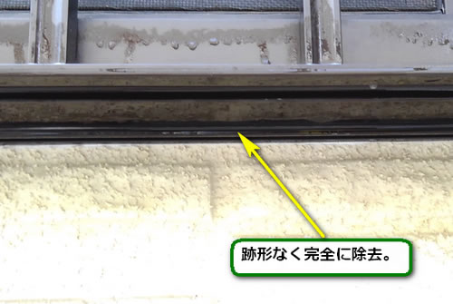 アシナガバチの巣完全除去