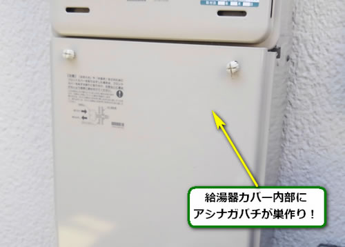 アシナガバチ駆除外壁給湯器