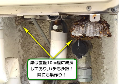 アシナガバチの巣駆除外壁給湯器