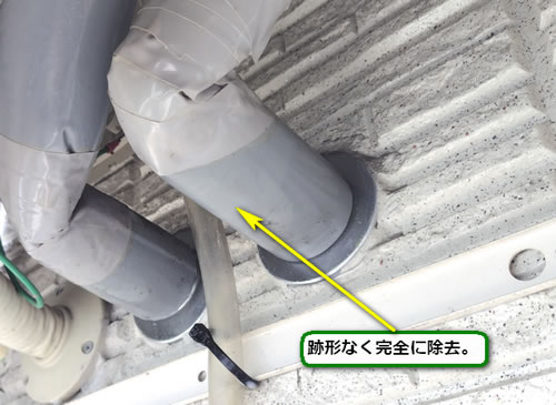 アシナガバチの巣完全撤去