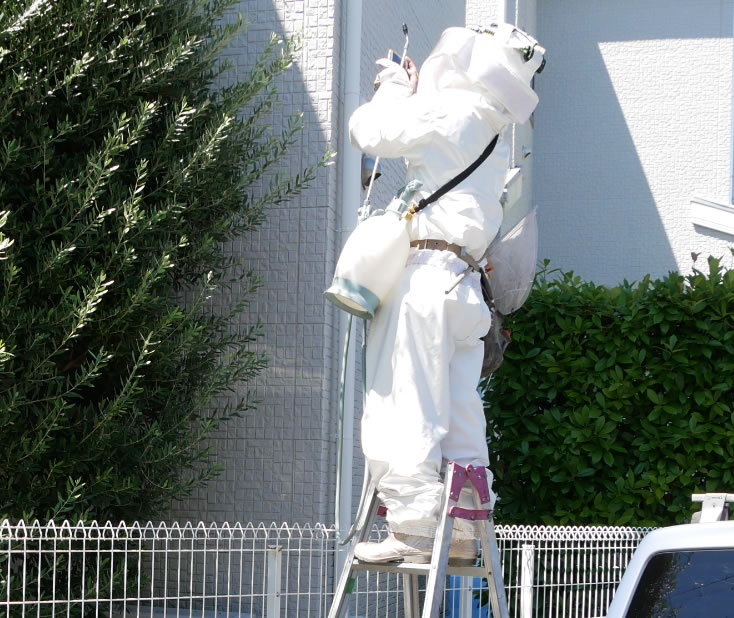 群がりまでの高さ例