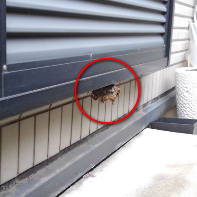 すぐに除去出来る箇所