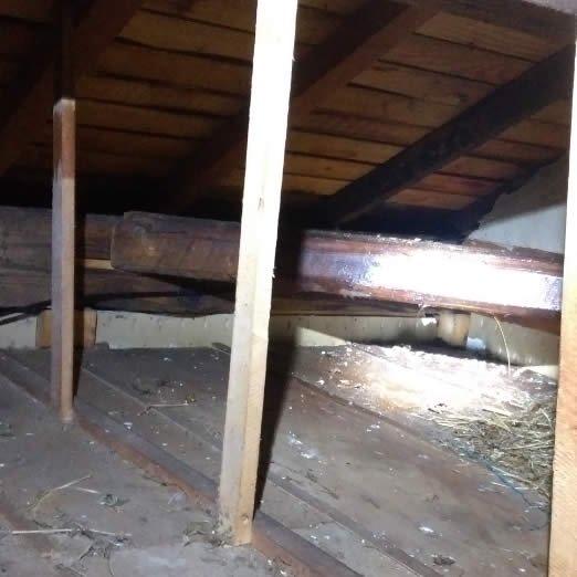 屋根裏特殊作業